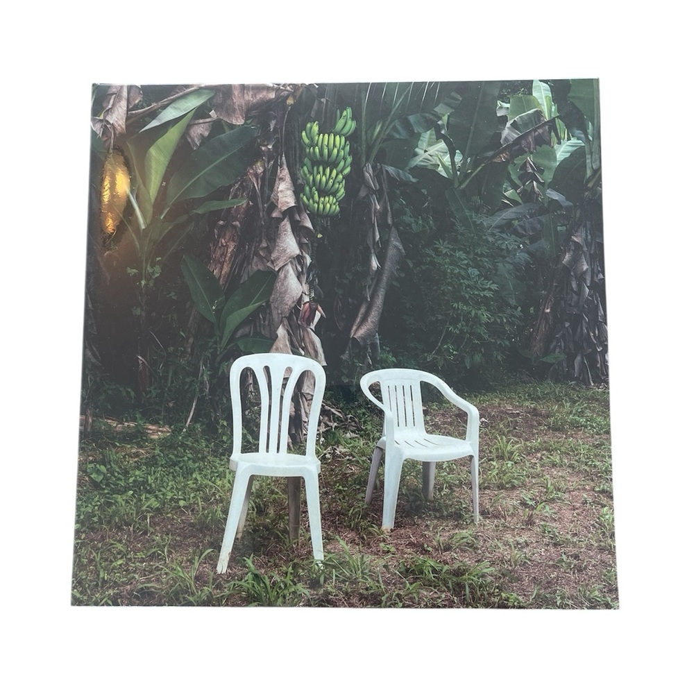 Vinyl Récord Bad Bunny DTMF